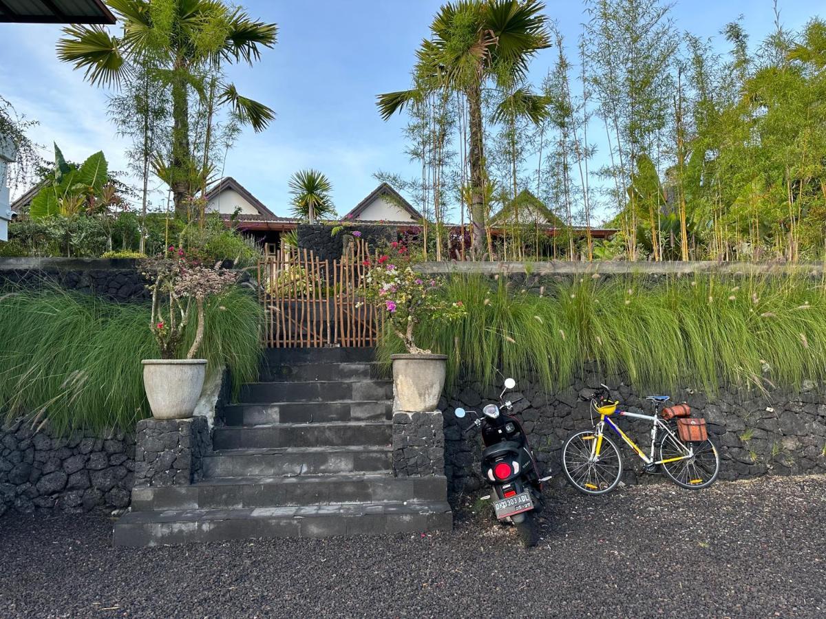 The Lava Bali Villa And Hot Spring 킨타마니 외부 사진